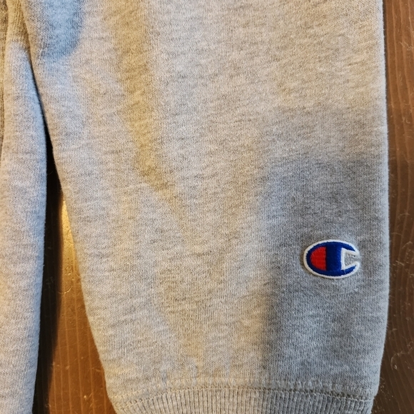 Youth Size XL Gray Champion Hoodie - Embroidered Front Logo & Kangaroo Pockets - Picture 3 of 12